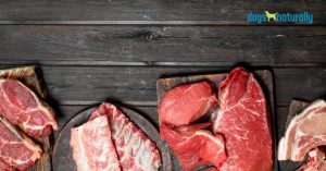 best raw meat for dogs