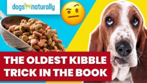 the oldest kibble trick in the book