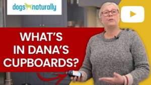 what's in danas cupboards